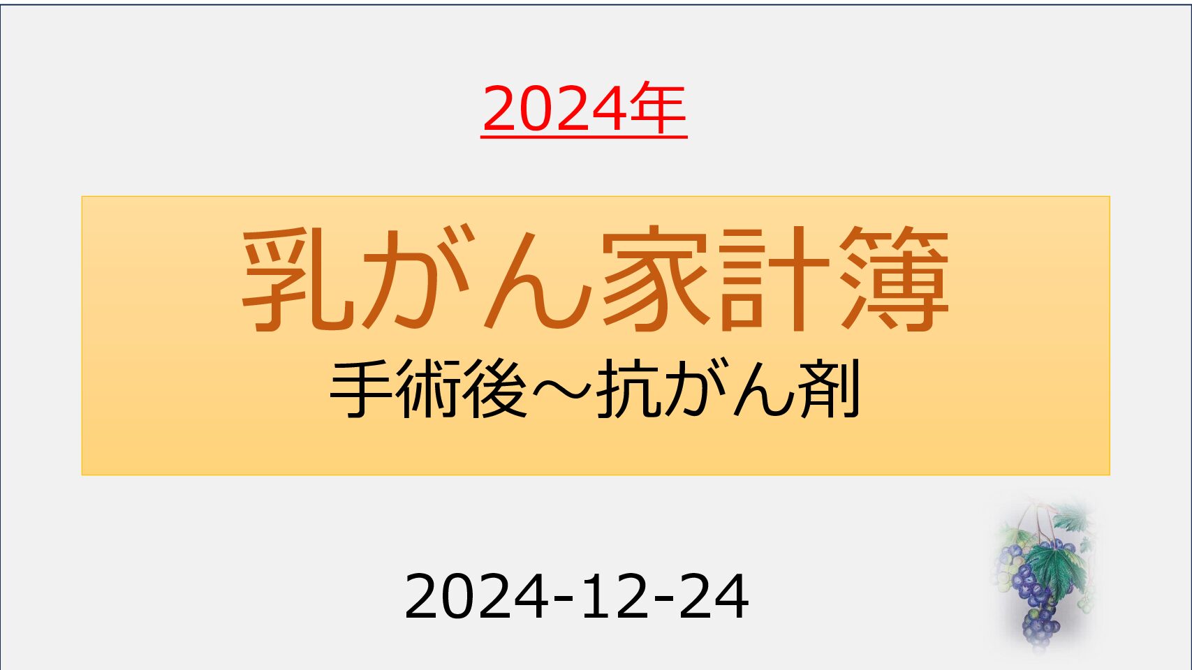 2024年乳がん家計簿（手術後～抗がん剤）