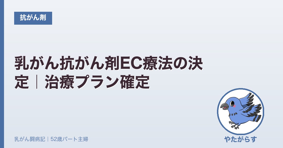乳がん抗がん剤EC療法の決定｜治療プラン確定【2024.03.07】