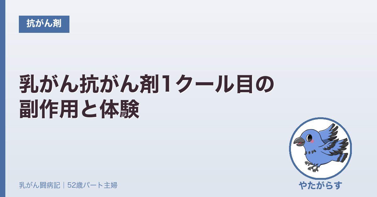 乳がん抗がん剤1クール目の副作用とPAXMAN頭皮冷却の体験ブログのアイキャッチ画像